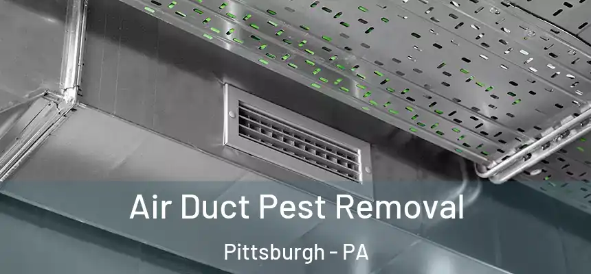 Air Duct Pest Removal Pittsburgh - PA