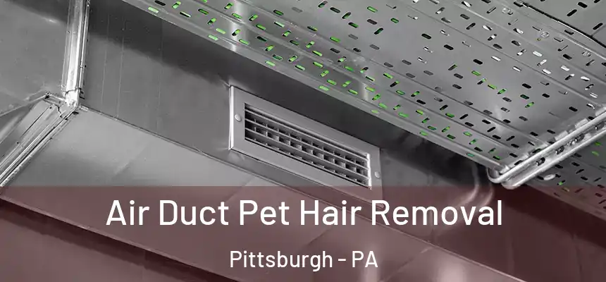  Air Duct Pet Hair Removal Pittsburgh - PA