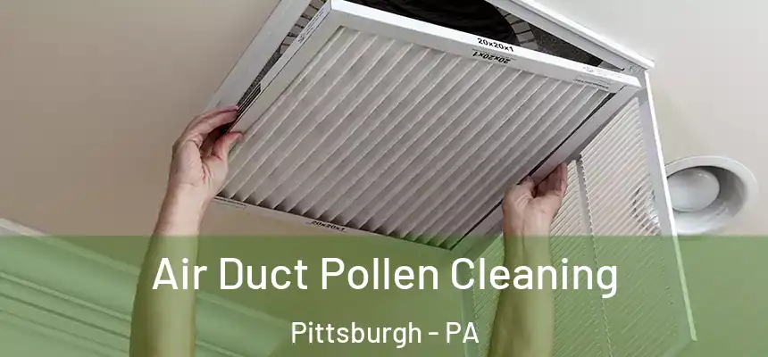 Air Duct Pollen Cleaning Pittsburgh - PA