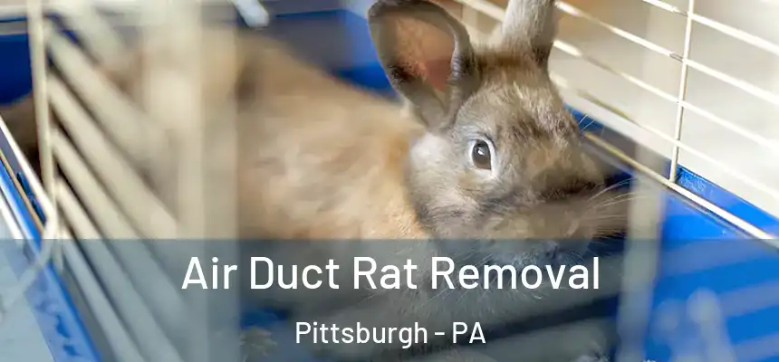 Air Duct Rat Removal Pittsburgh - PA
