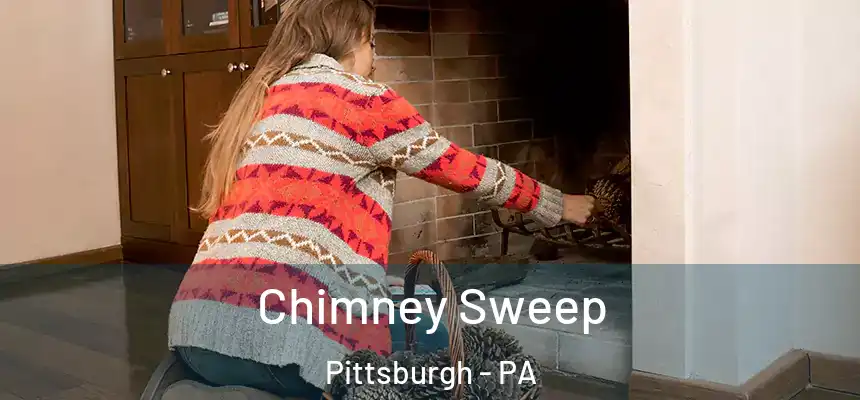 Chimney Sweep Pittsburgh - PA