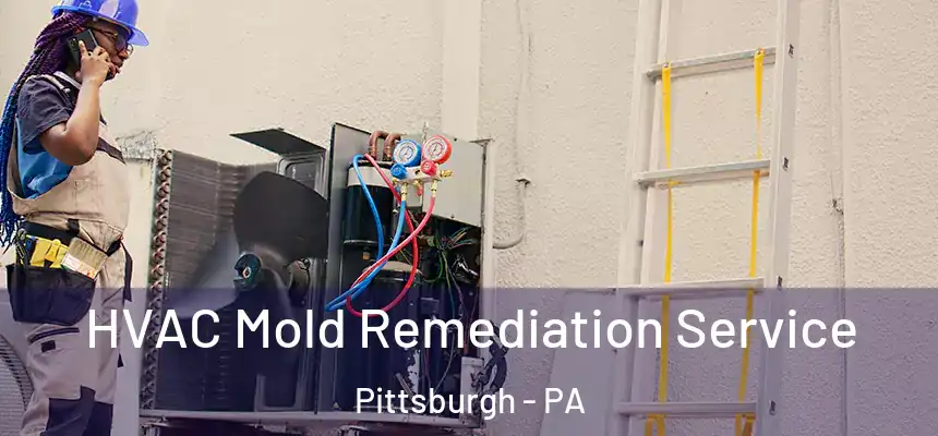 HVAC Mold Remediation Service Pittsburgh - PA