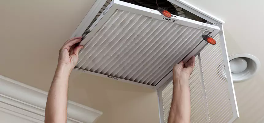 Preventive Cockroach-Proofing for Ducts in Pittsburgh