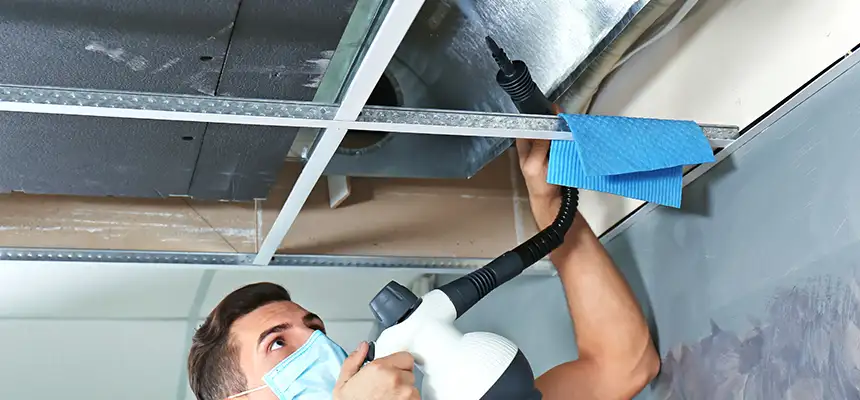Our Air Duct Rodent Removal Services in Pittsburgh, PA