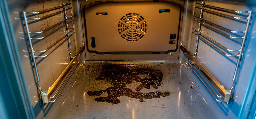 Our Dryer Vent Mold Cleaning Services in Pittsburgh, PA