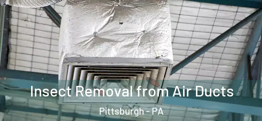Insect Removal from Air Ducts Pittsburgh - PA