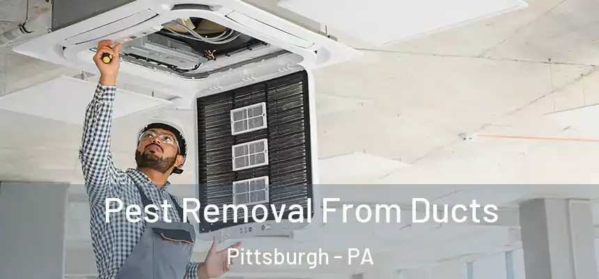 Pest Removal From Ducts Pittsburgh - PA