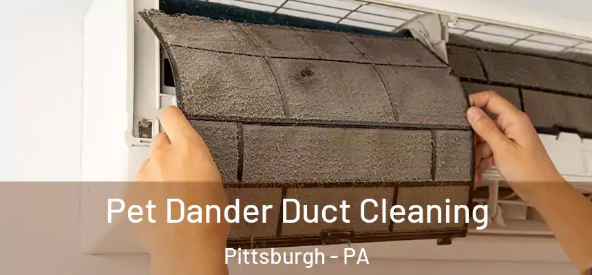 Pet Dander Duct Cleaning Pittsburgh - PA