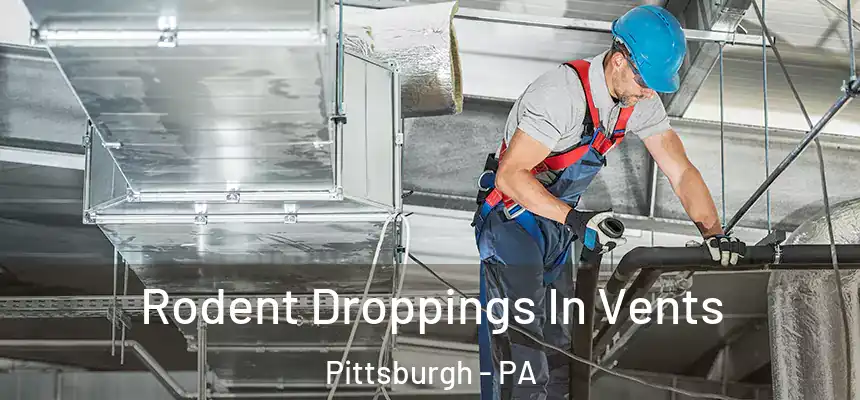 Rodent Droppings In Vents Pittsburgh - PA