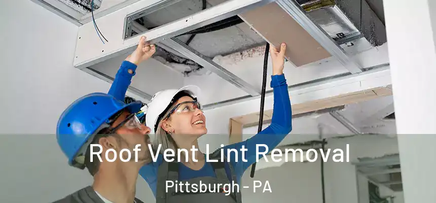 Roof Vent Lint Removal Pittsburgh - PA
