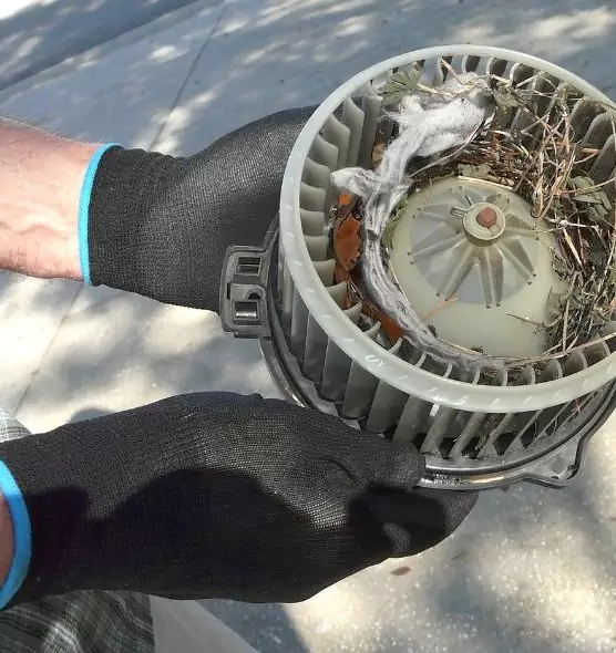 About Air Duct Rat Removal in Pittsburgh, PA