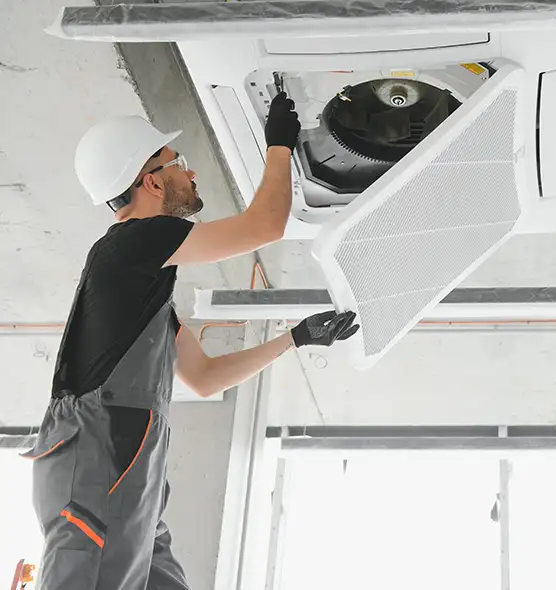 About Air Duct Rodent Removal in Pittsburgh, PA