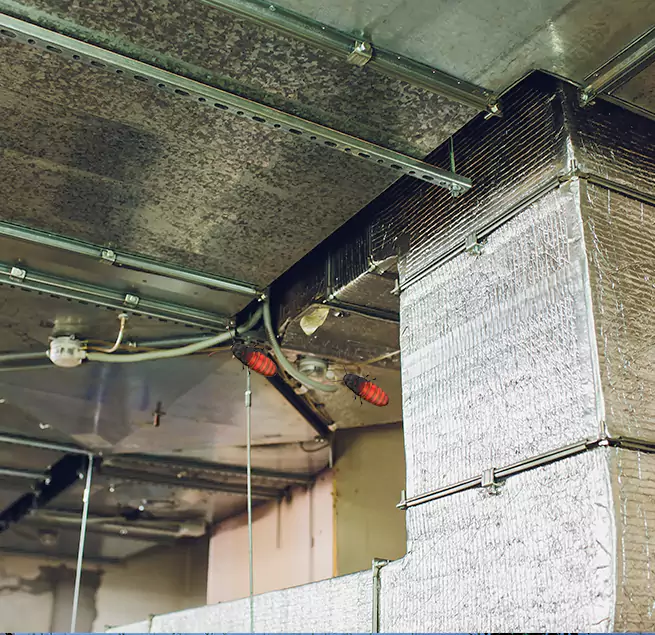 Why Homeowners & Businesses Trust Us in Pittsburgh, PA?