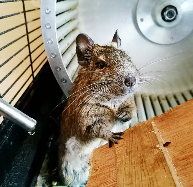 Why Homeowners & Businesses Trust Us Pittsburgh, PA