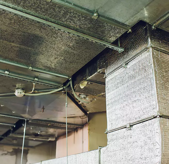 Why Homeowners & Businesses Trust Us in Pittsburgh, PA?